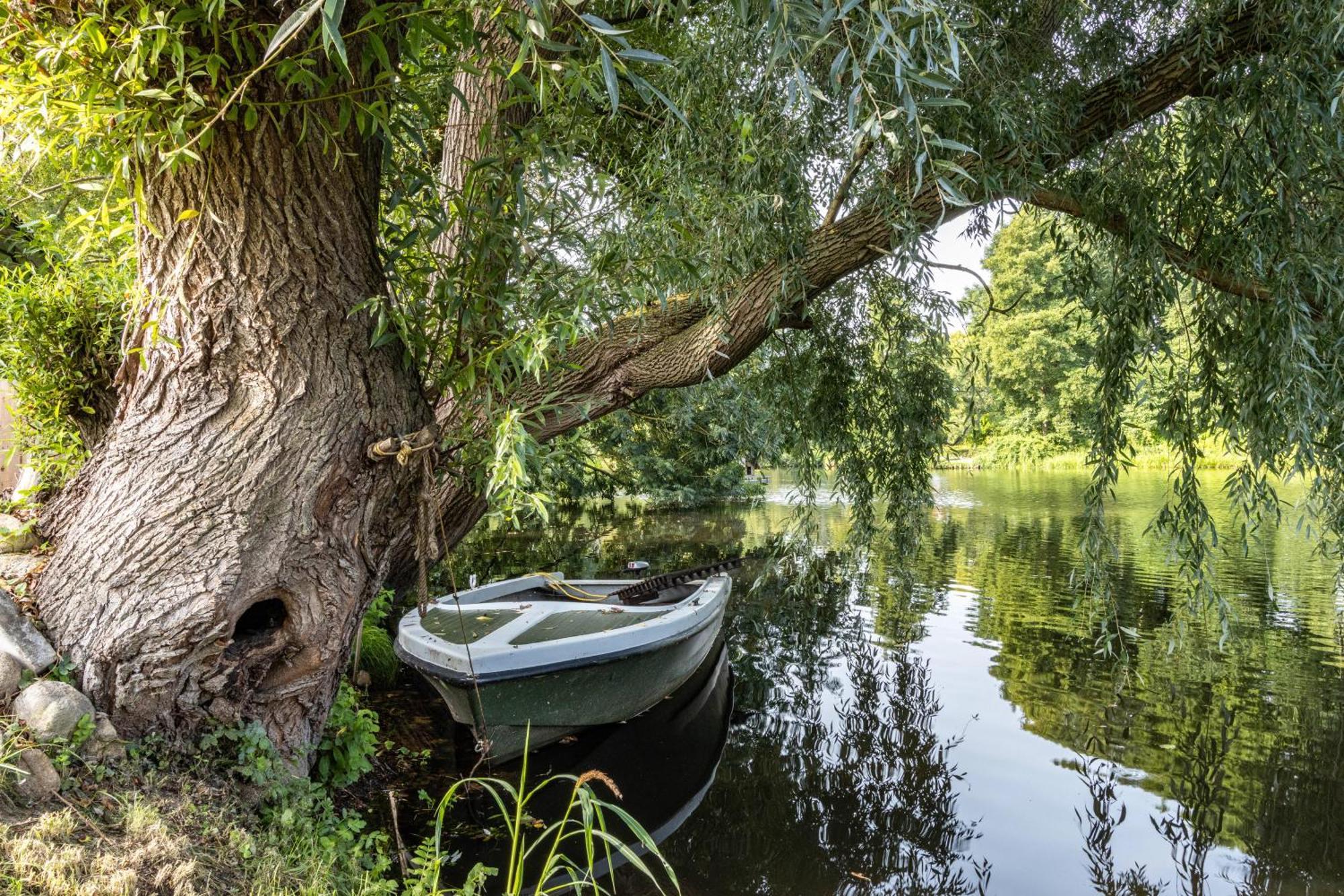 Ferienwohnung Am Parksee Bad Bodenteich 外观 照片